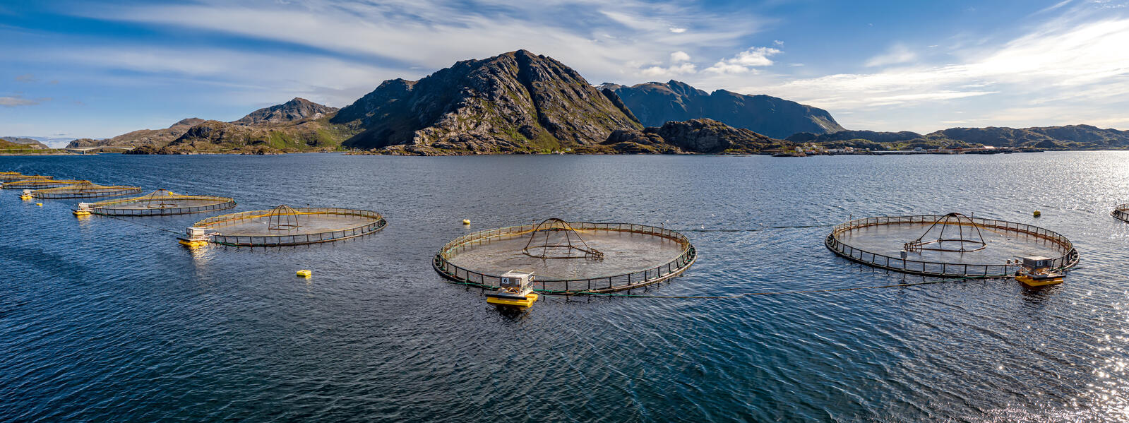 Fish farm